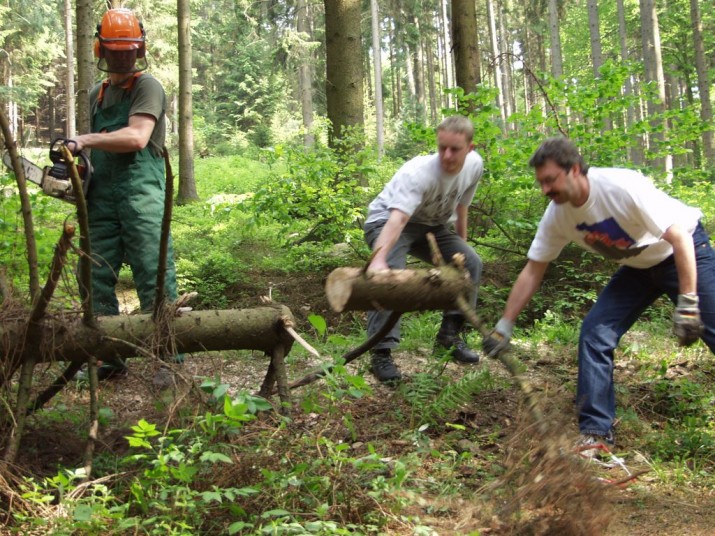 Holz machen 00