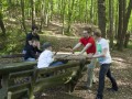 IMG 6184