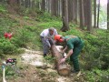 Holz machen 11