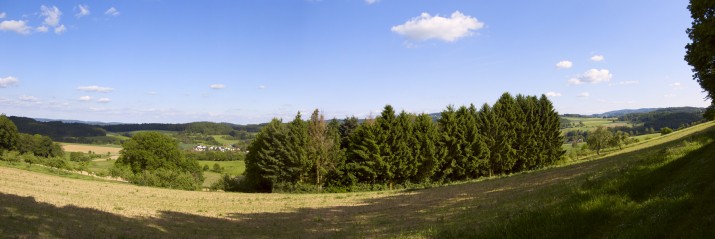 Panorama1