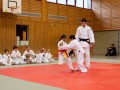 IMG 5560