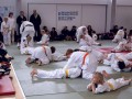IMG 6477