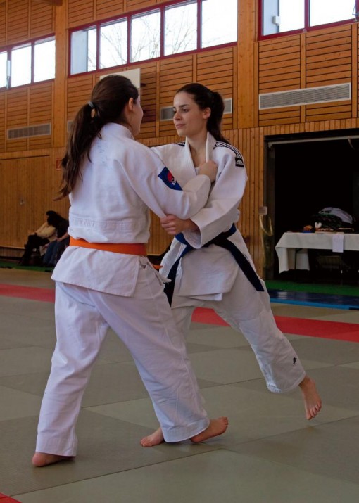 IMG 4251