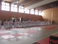 Kreisrandori 49