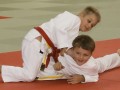 Kreisrandori 29